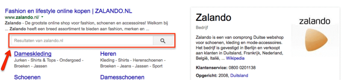 Sitelinks Search Box in Google